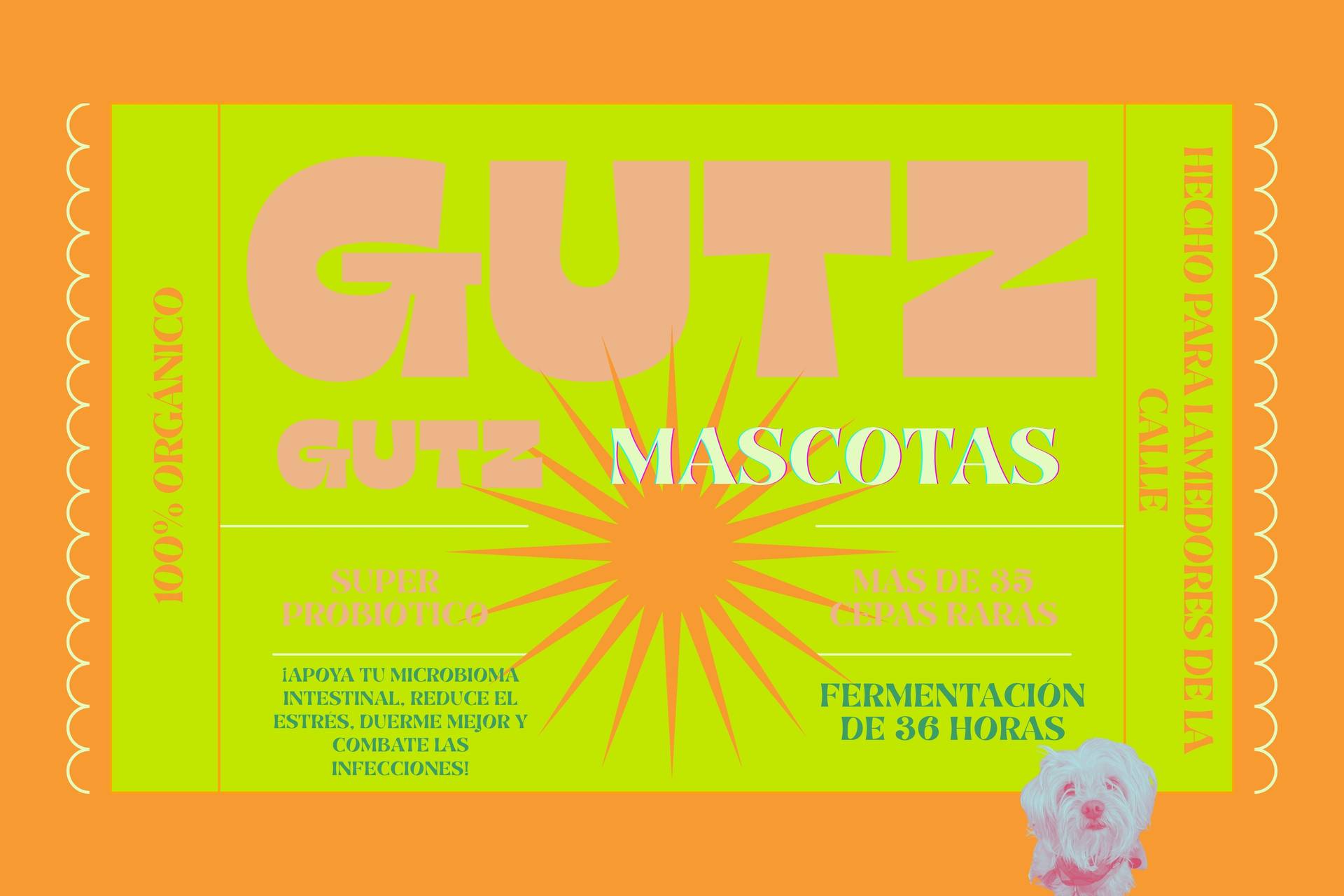 Mascotas